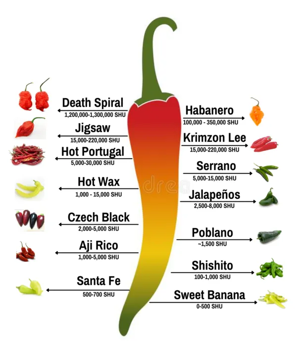 Scoville Heat Unit chart for peppers