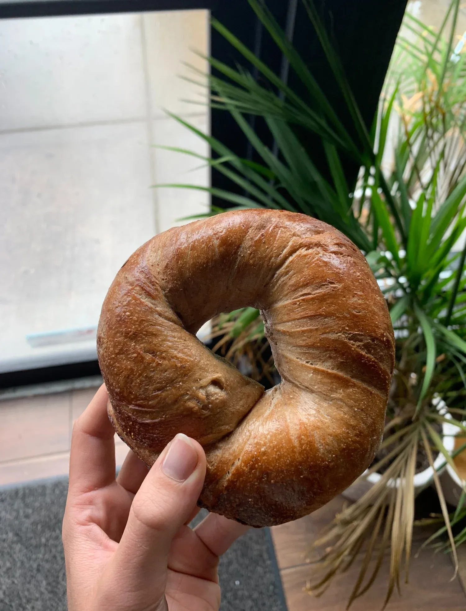 New York style bagels at Gotham Bagels