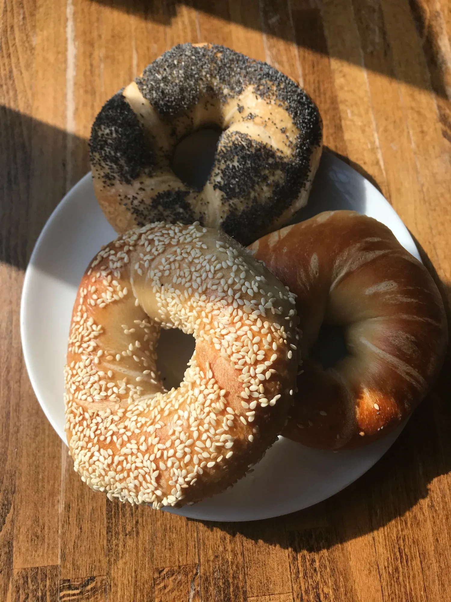 Traditional plain, sesame, and poppy bagels