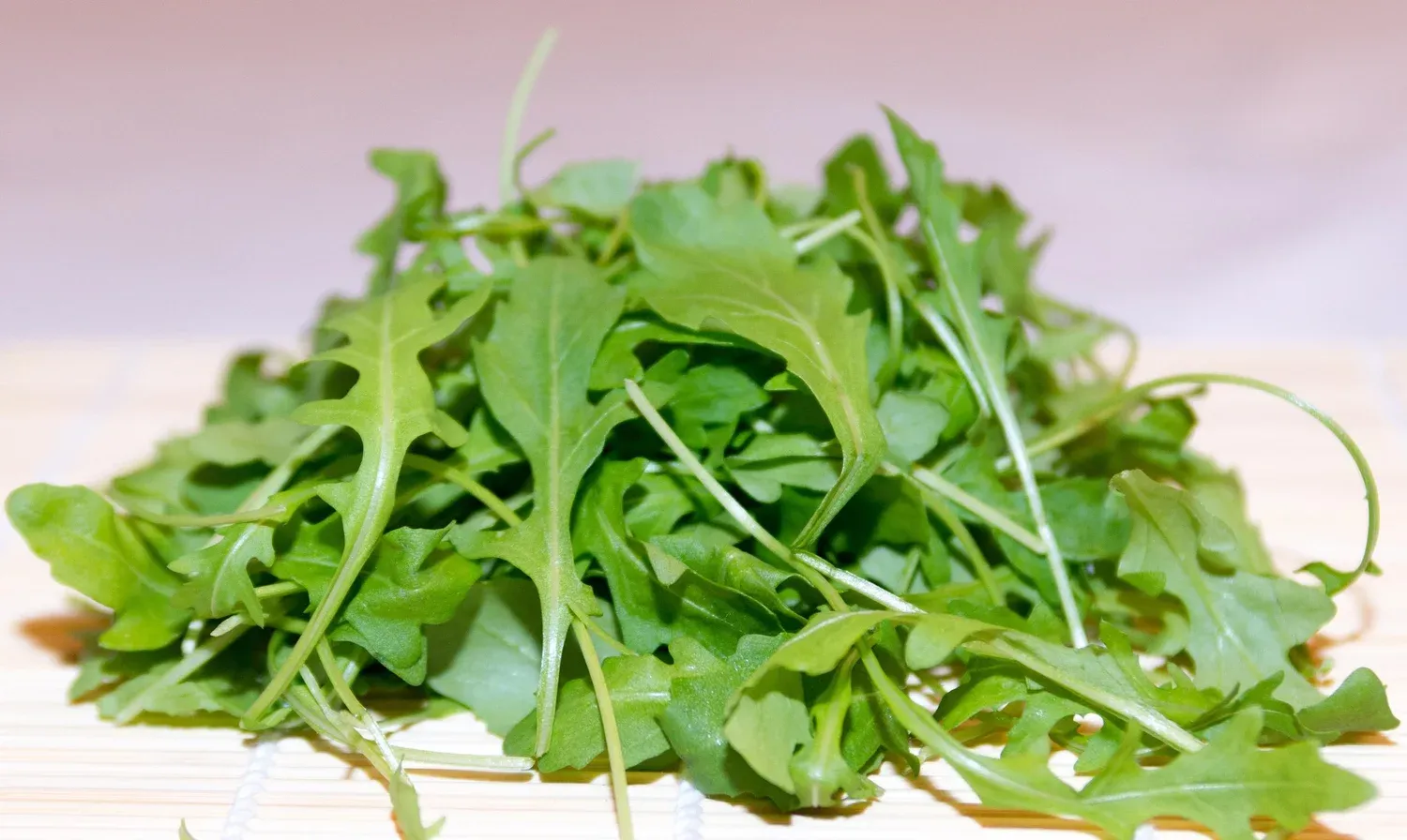Fresh green arugula leaves