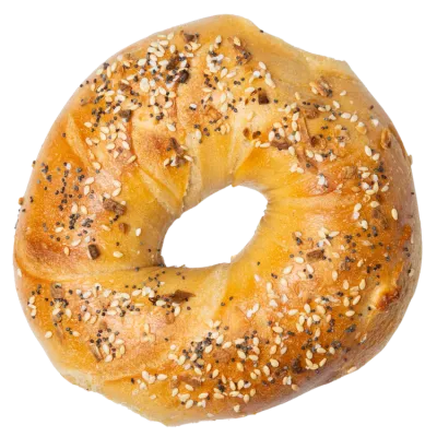 Gotham Bagels hand-rolled everything bagel