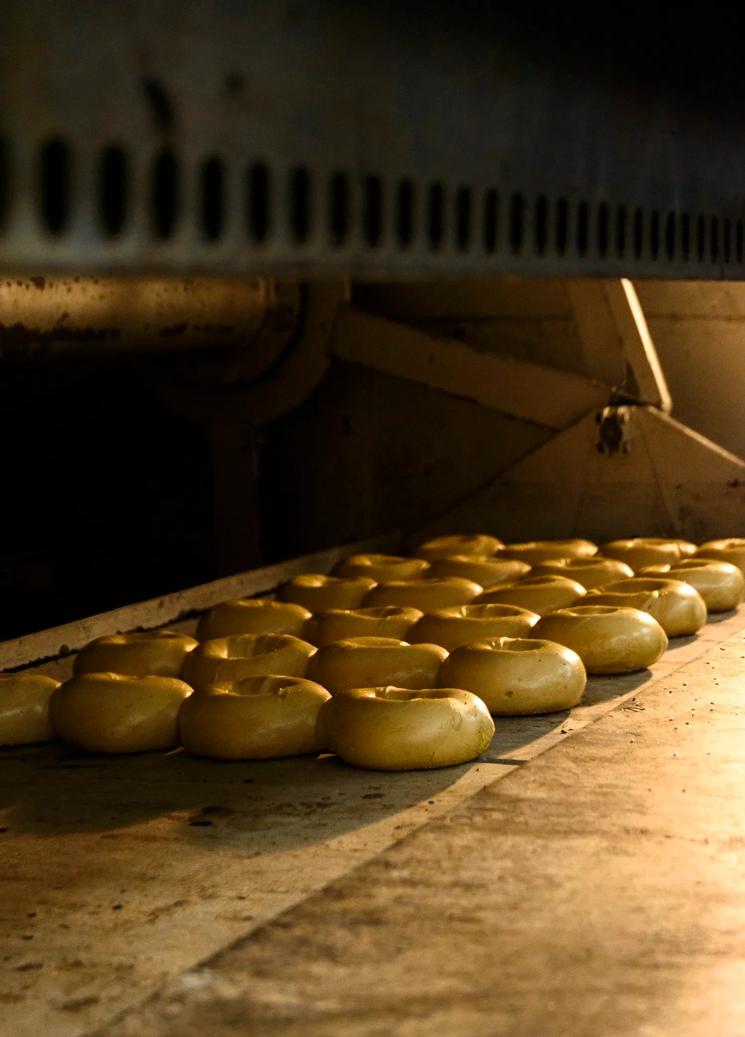 Fresh bagels at Gotham Bagels bakery