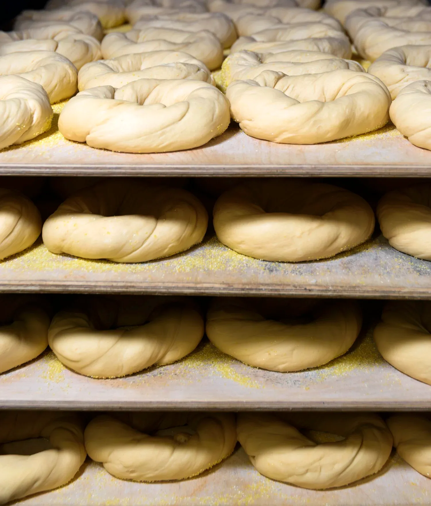 Behind the scenes at Gotham Bagels bakery