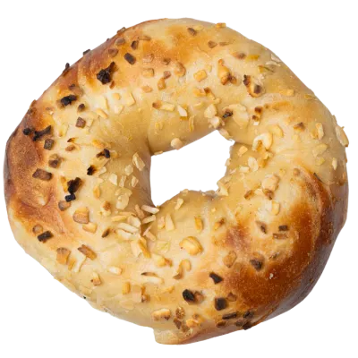 Gotham Bagels hand-rolled onion bagel