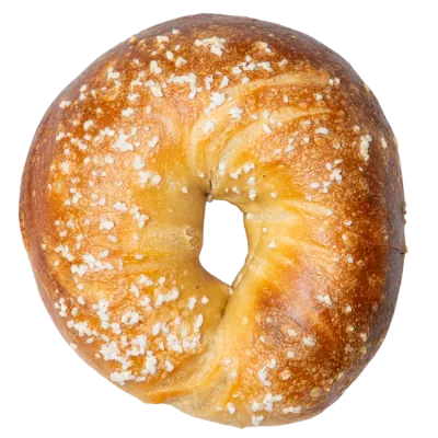 Gotham Bagels hand-rolled salt bagel
