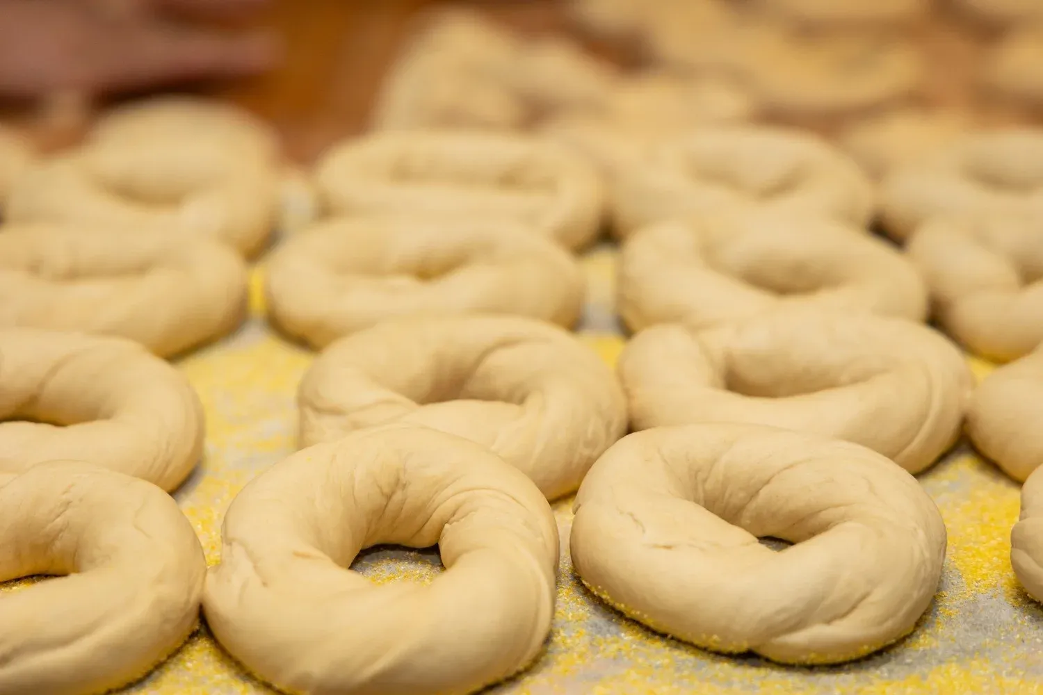 Gotham Bagels fresh from the oven