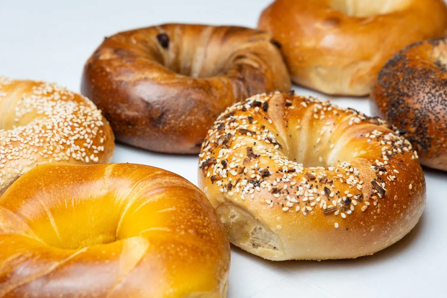 Gotham Bagels product showcase photo