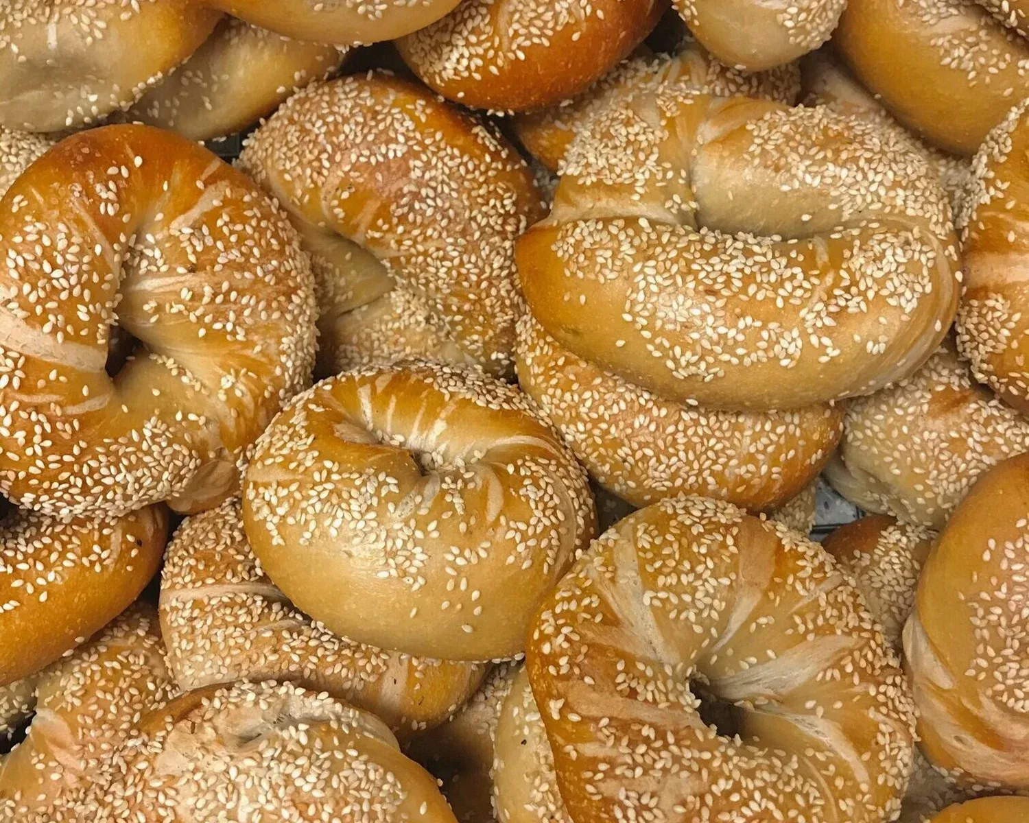 Sesame bagels at Gotham Bagels Gold Coast