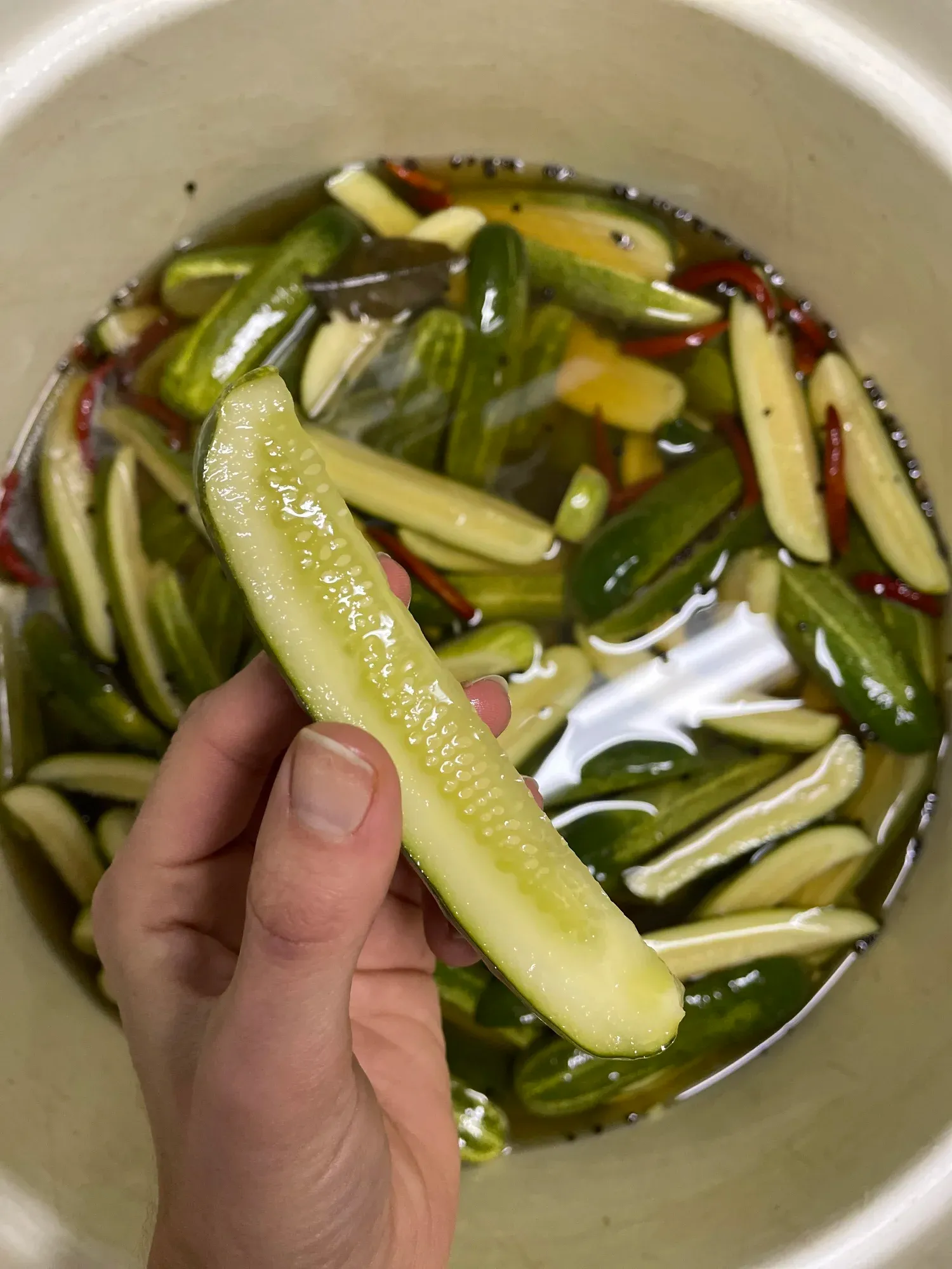 Pickles curing in a barrel
