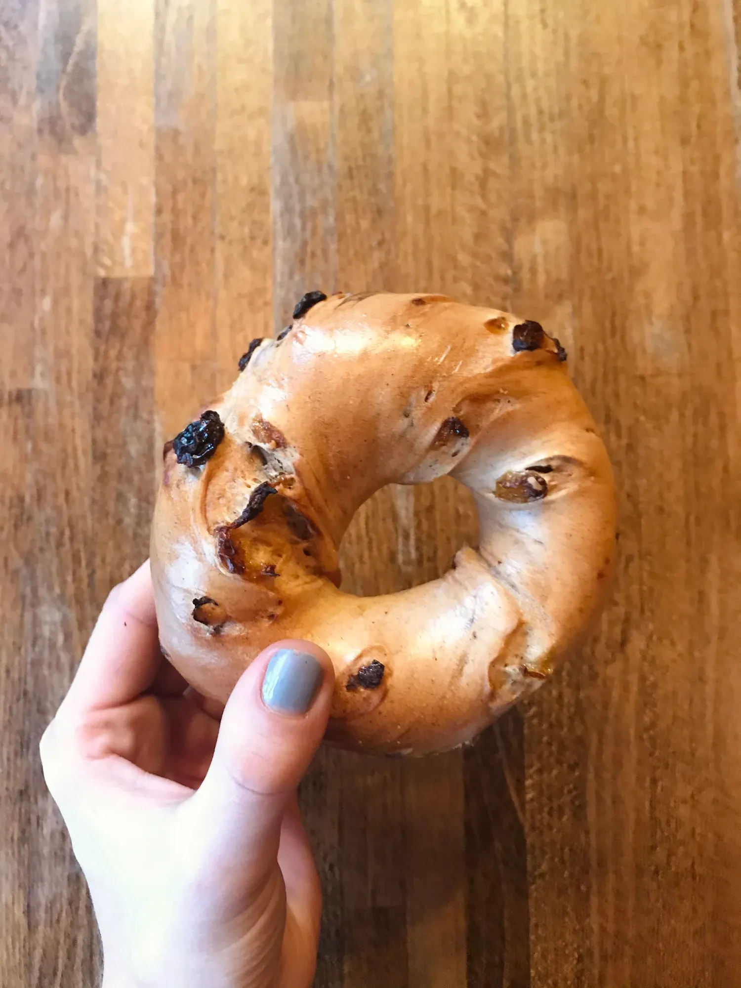 Fresh cinnamon raisin bagel close-up