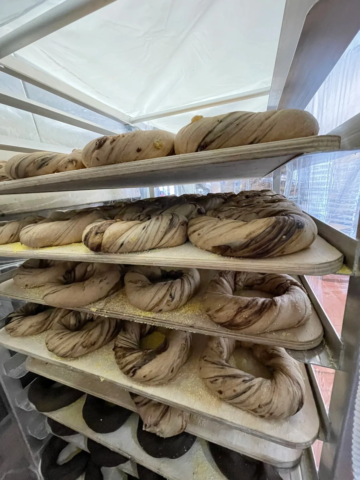 Rolled cinnamon bagels waiting to be boiled