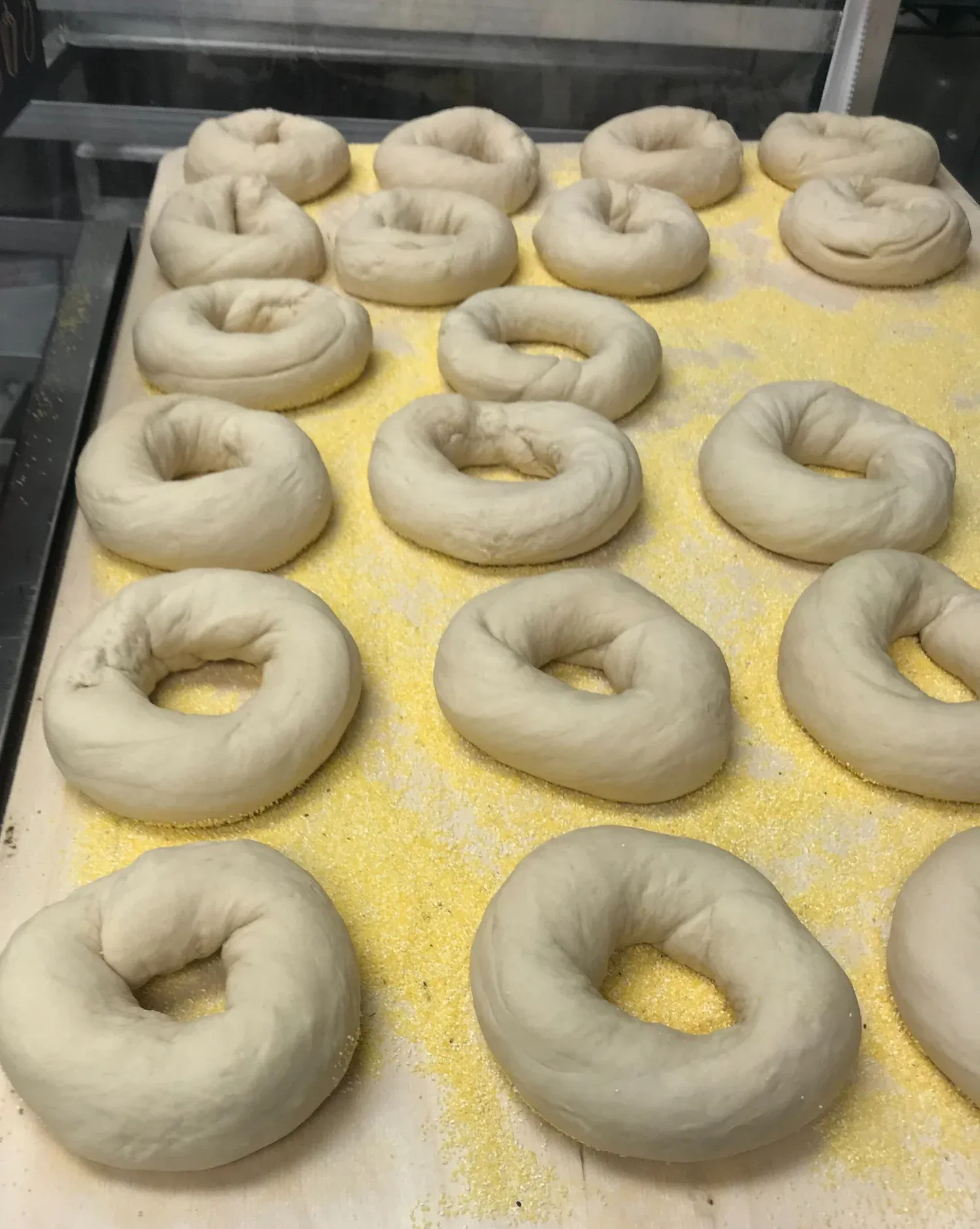 Bagels proofing on cornmeal-dusted boards