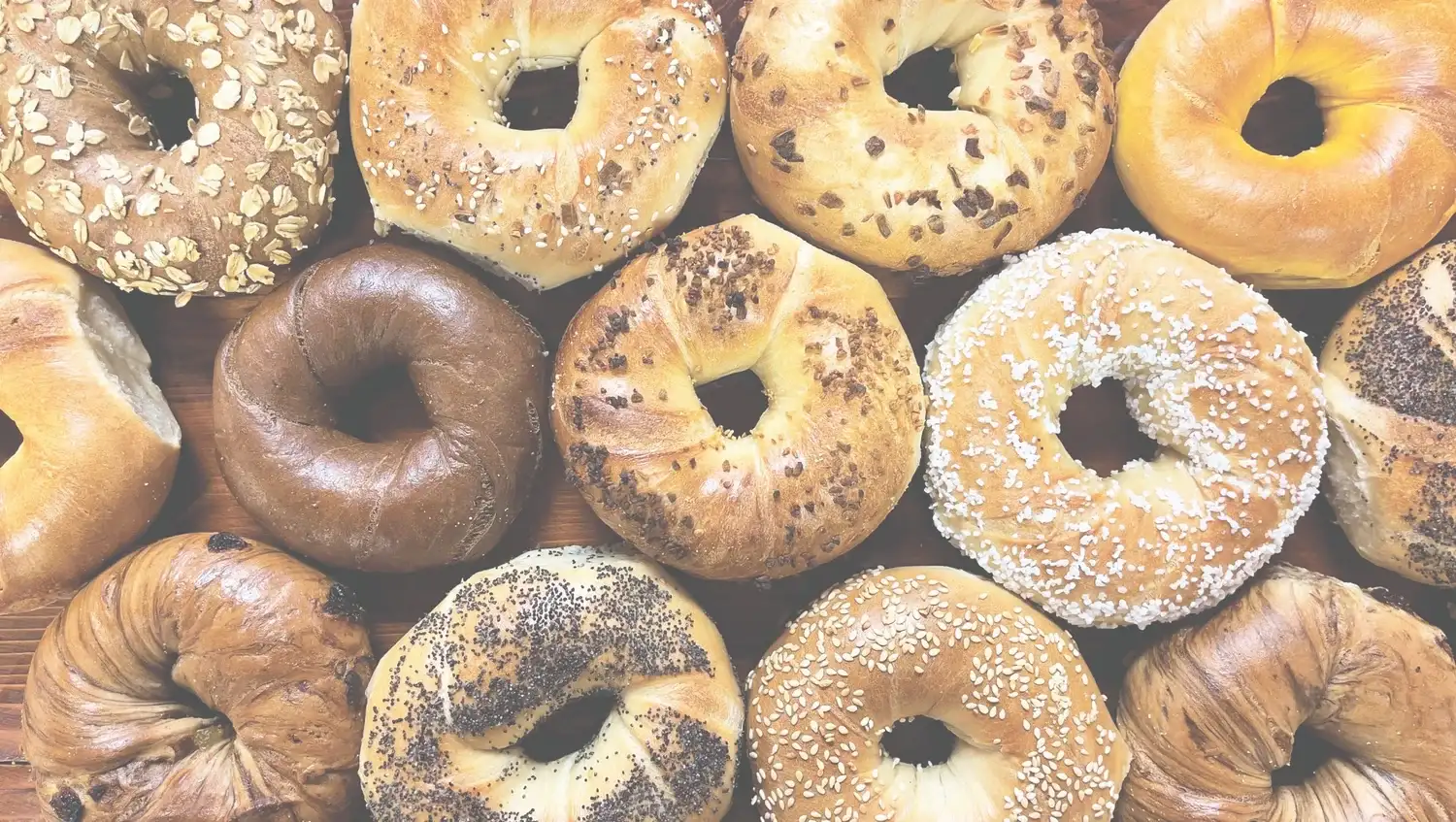 A spread of fresh New York-style bagels at Gotham Bagels