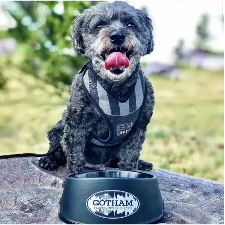 Gotham Bagels dog bowl