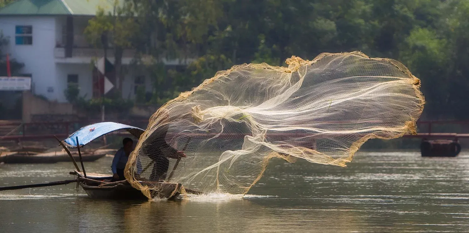 Cast-net fishing in Kenh Ga, Vietnam