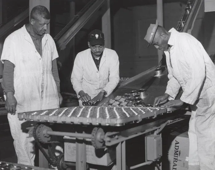 Tuna industry photo