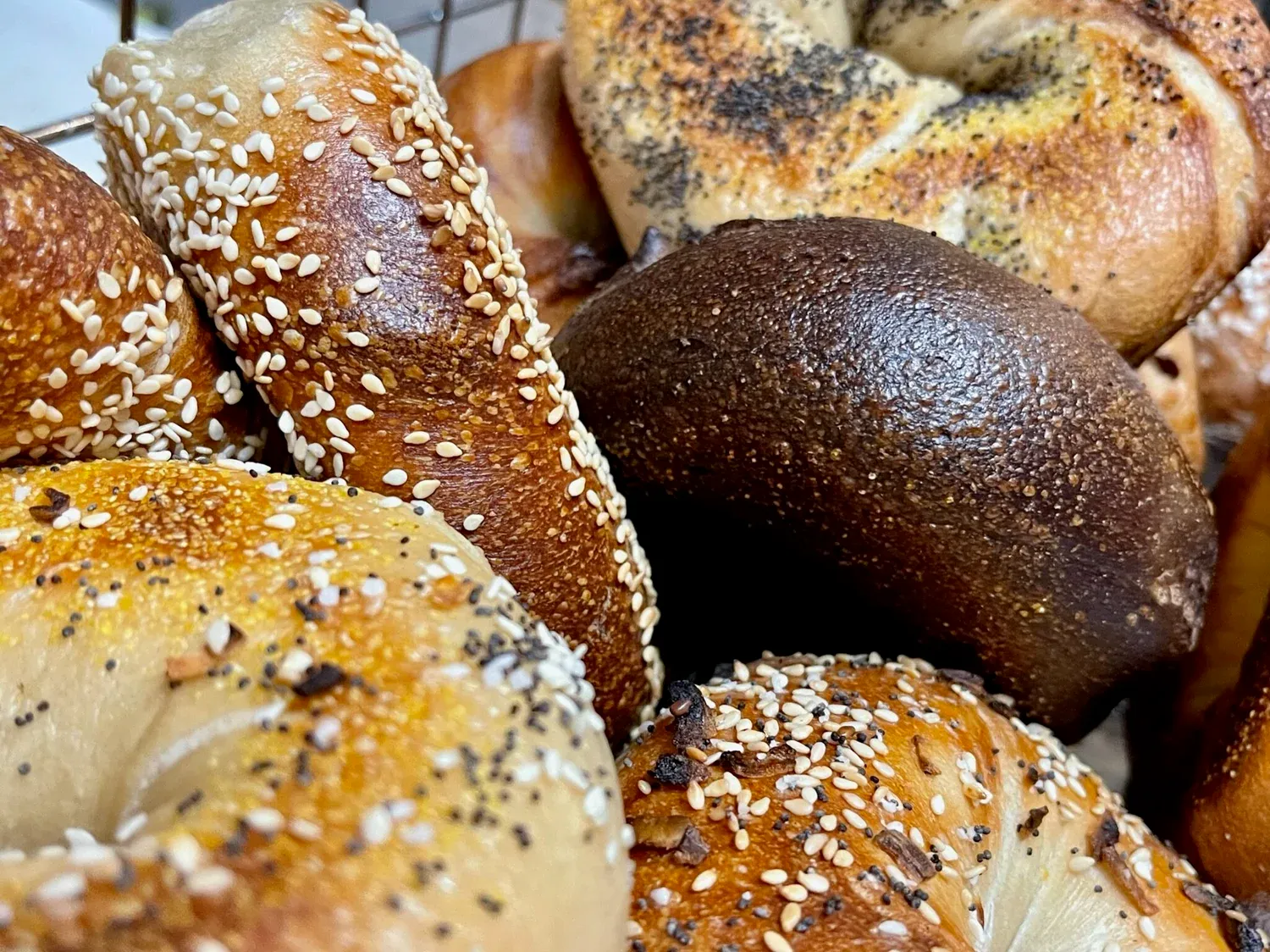 Close-up of fresh bagels