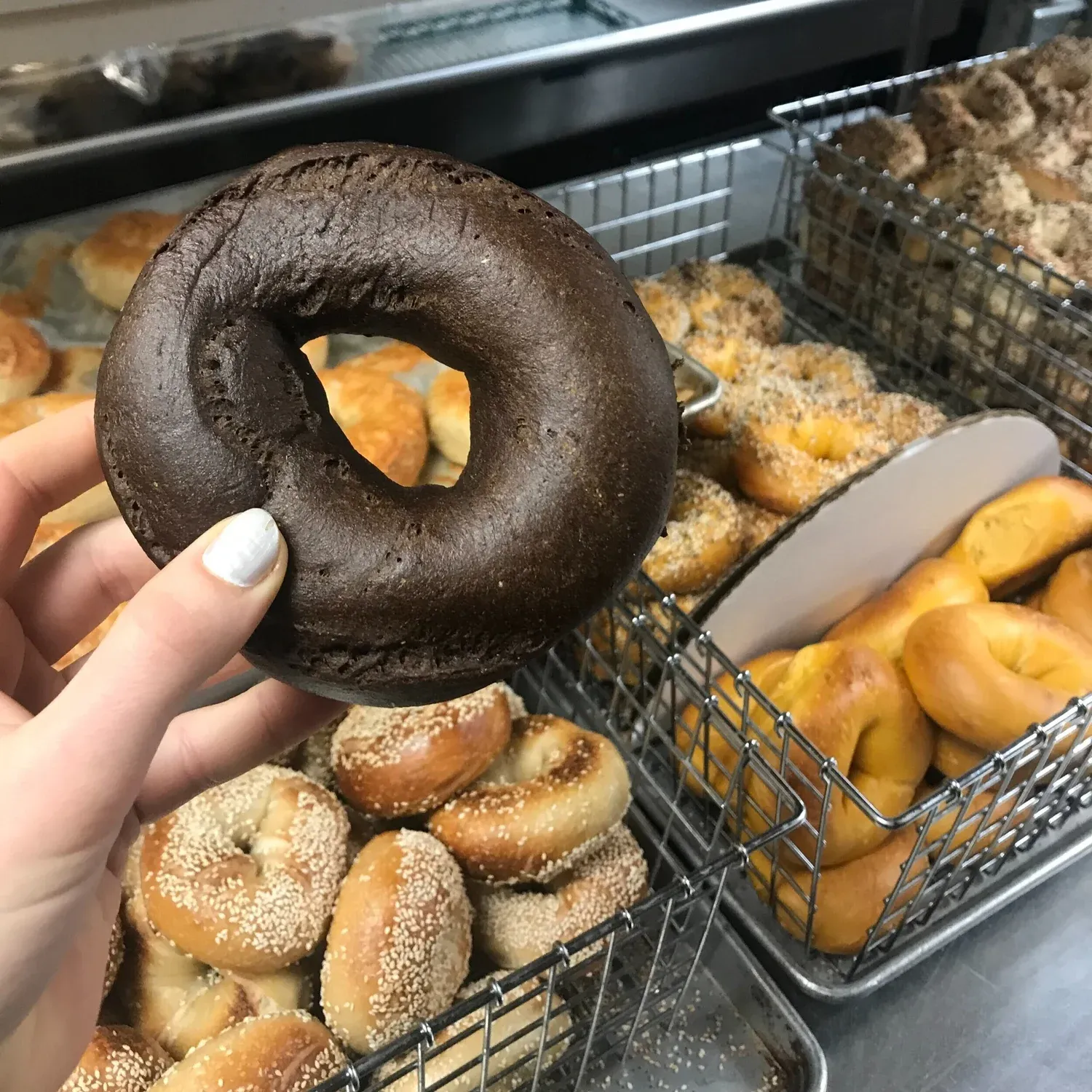 Pumpernickel bagel from Gotham Bagels