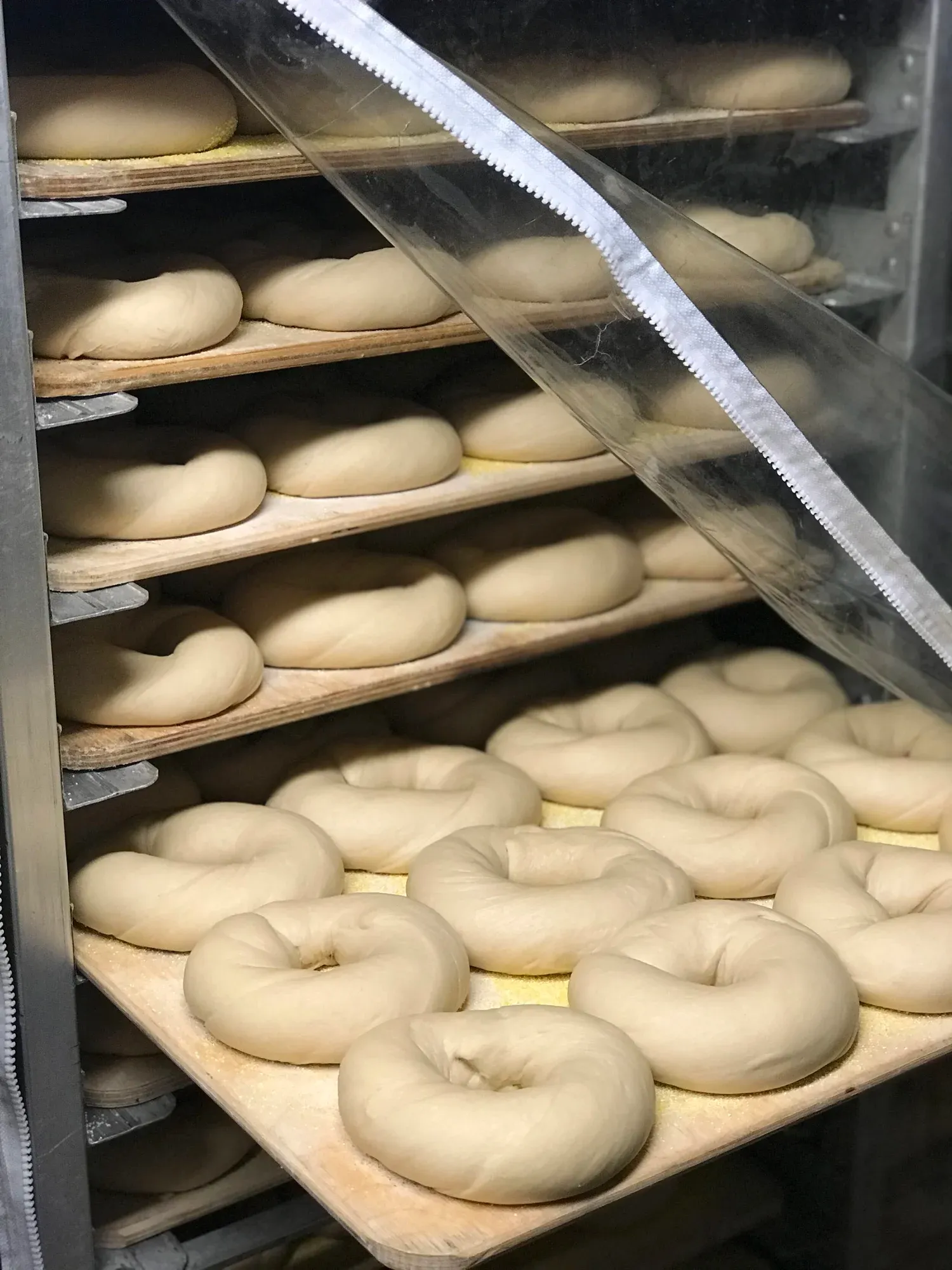 Bagel dough proofing in a cooler