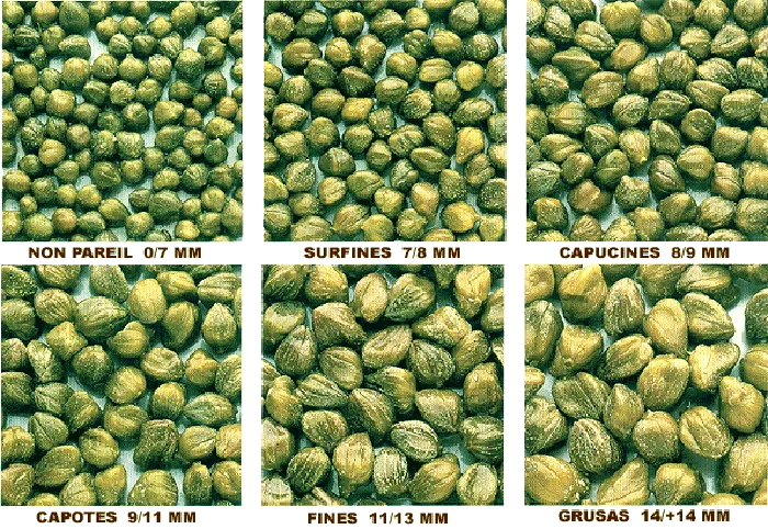 Capers sorted by size comparison