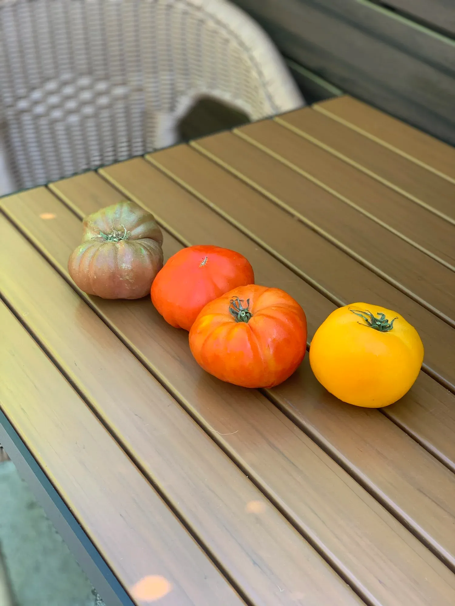 Multicolored heirloom tomatoes