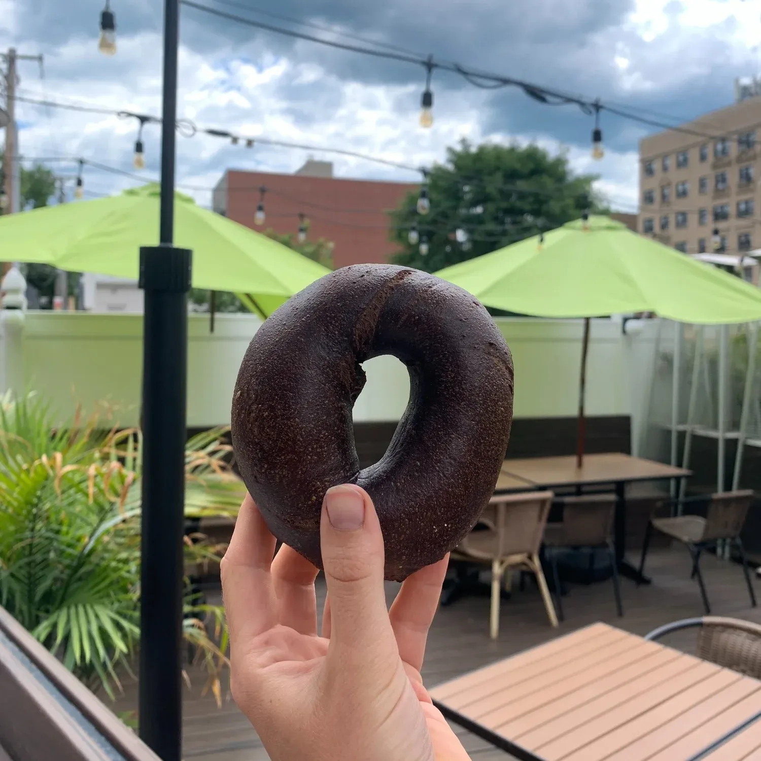 Single pumpernickel bagel close-up