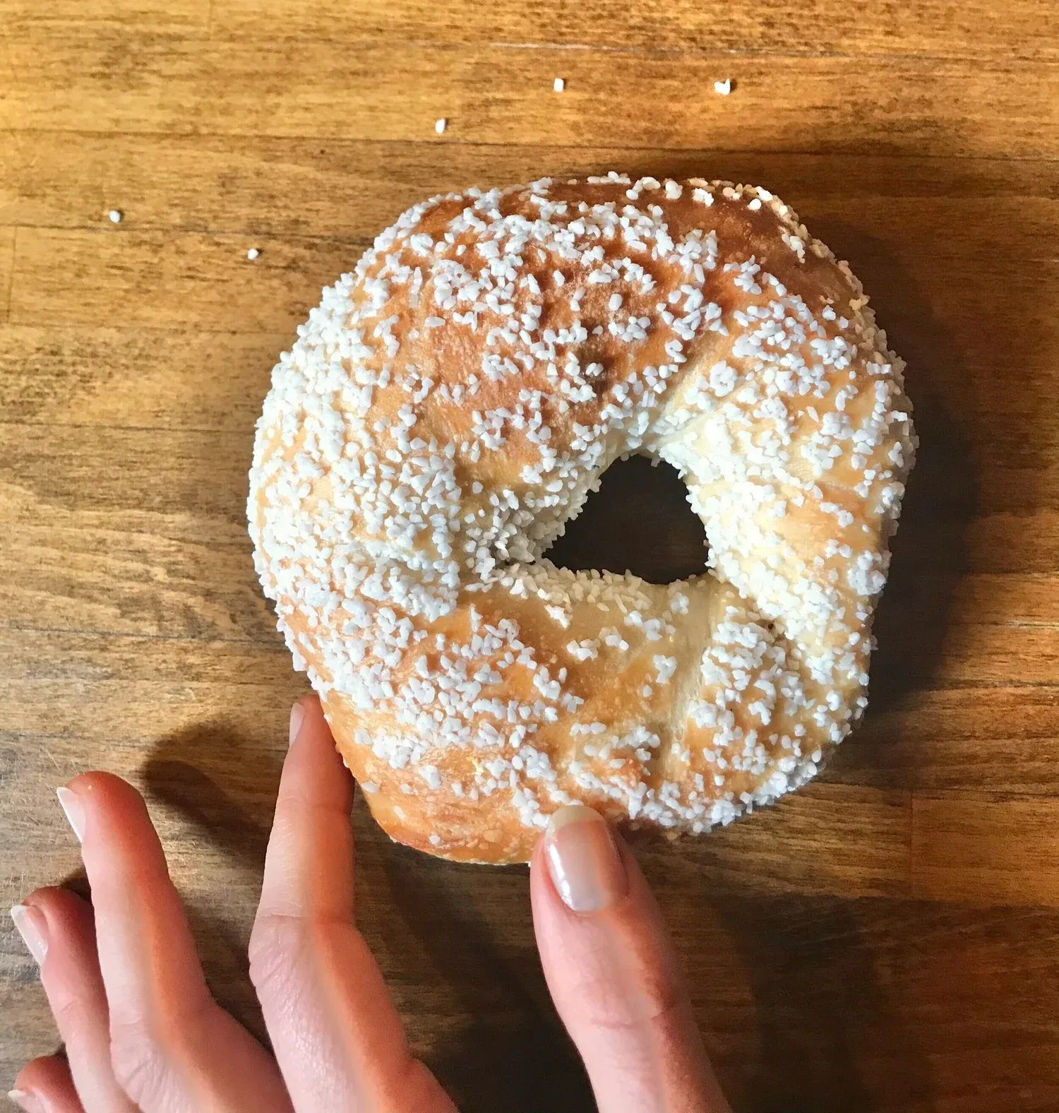 Gotham Bagels hand-rolled salt bagel close-up