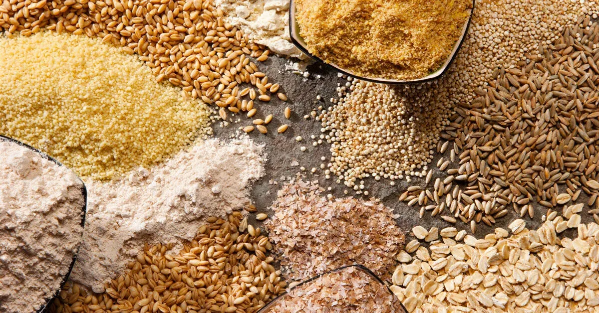 Whole wheat grains close-up