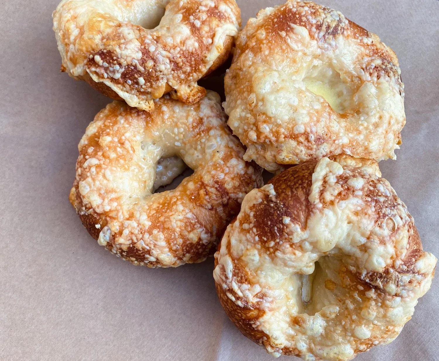 Fresh asiago cheese bagels from the oven