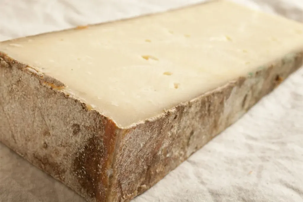 Fontina cheese wheel with brown rind