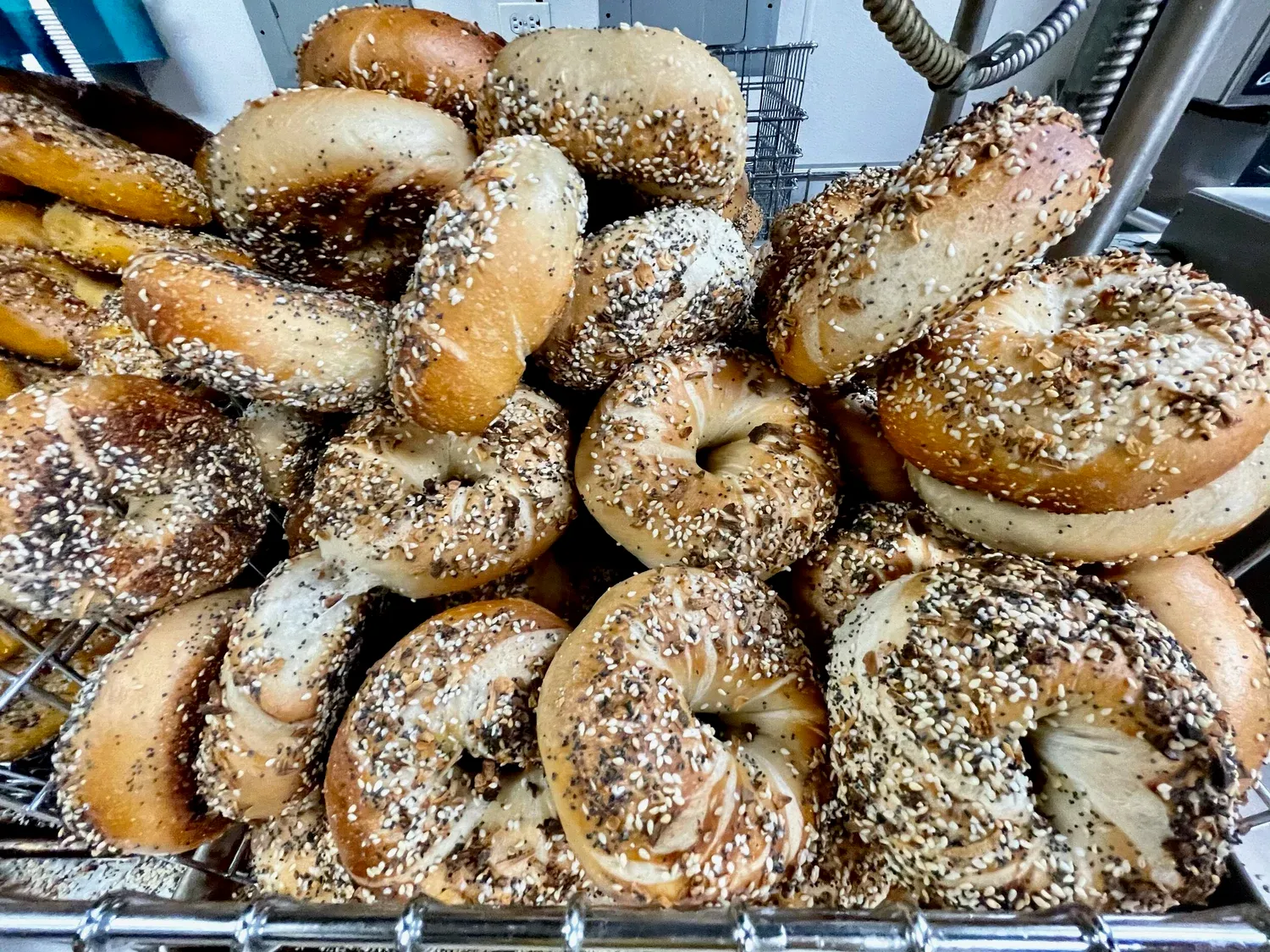 Seedy everything bagels close-up