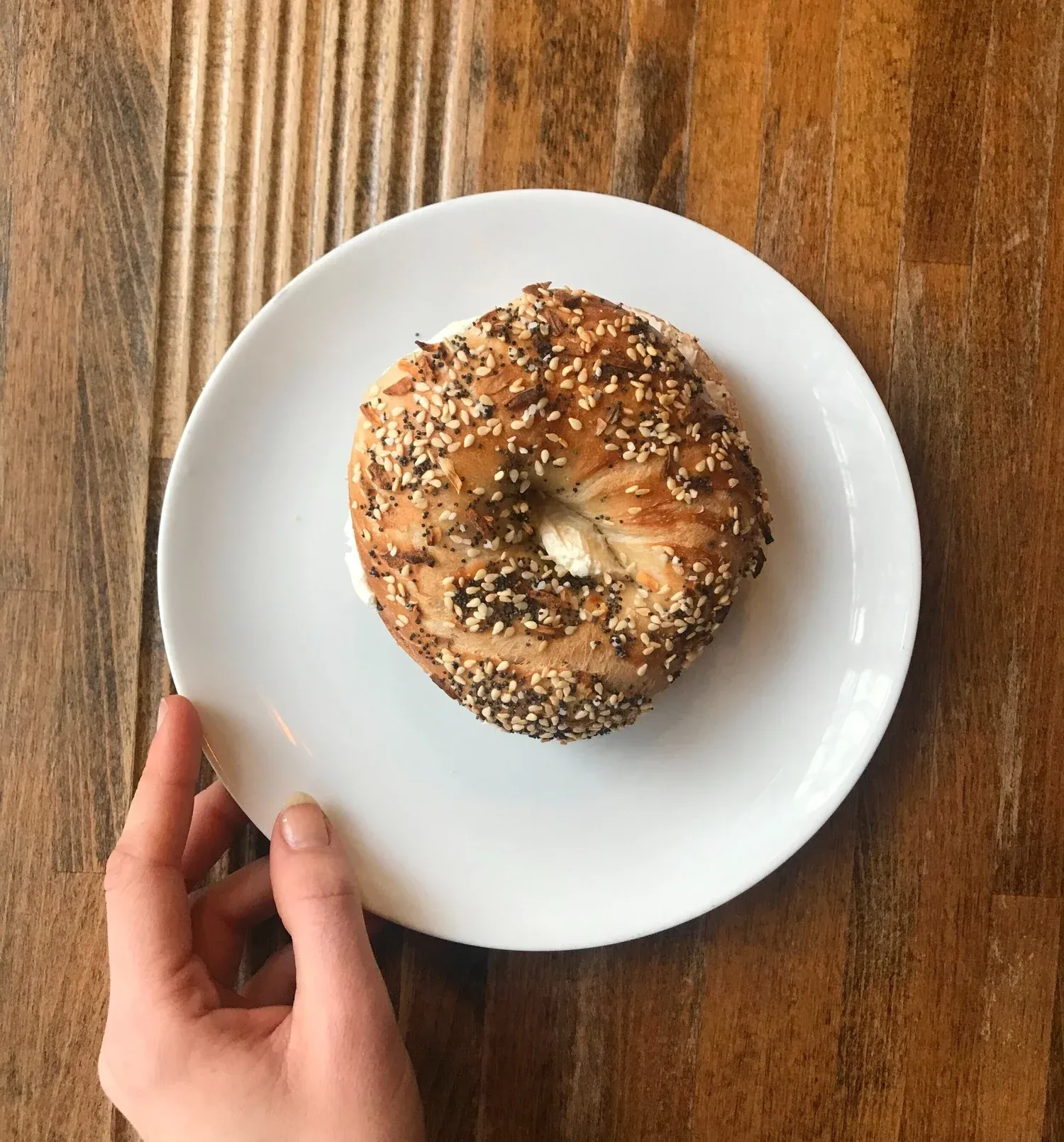Everything bagel from Gotham Bagels
