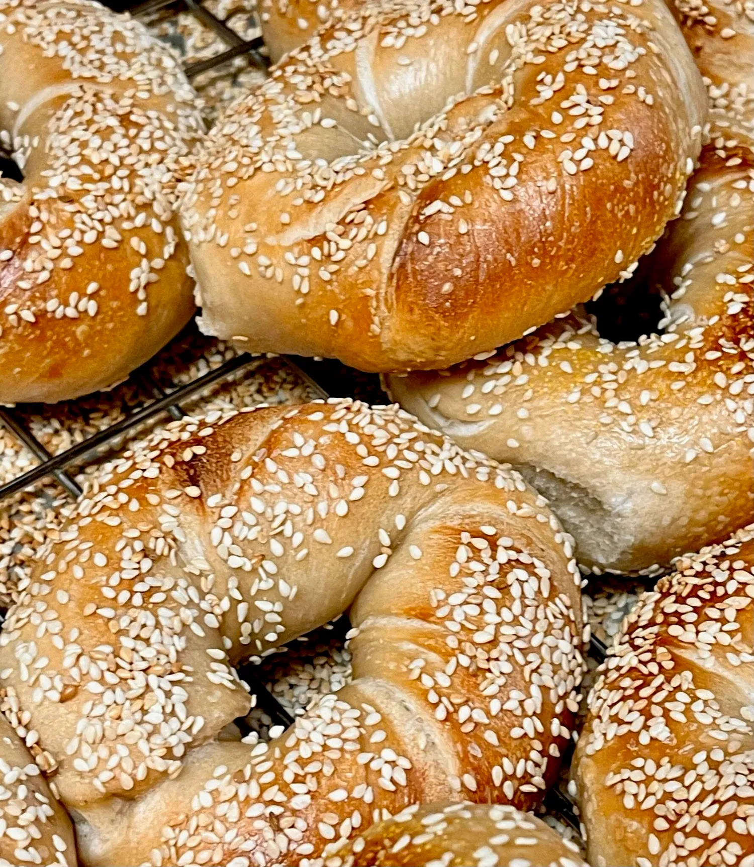 Fresh sesame bagels from Gotham Bagels