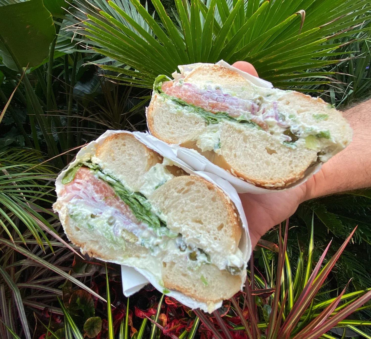 Traditional tunafish bagel sandwich